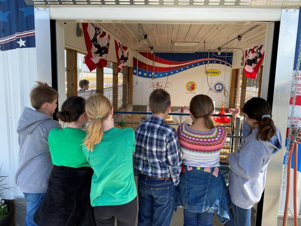 School children monitor the Presidential Flock